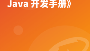 解锁大厂思维：剖析《阿里巴巴 Java 开发手册》 | 完结