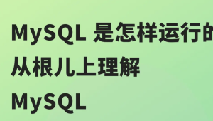 MySQL 是怎样运行的：从根儿上理解 MySQL | 完结