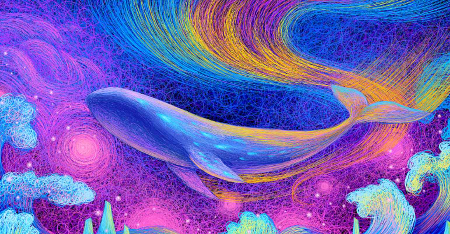 跟王云飞学线圈插画 | 完结