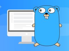 Go语言实战流媒体视频网站 | 完结