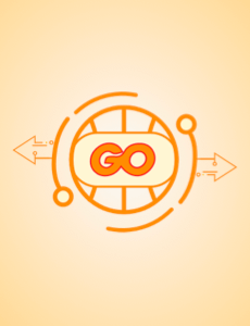 22 讲通关 Go 语言 | 完结