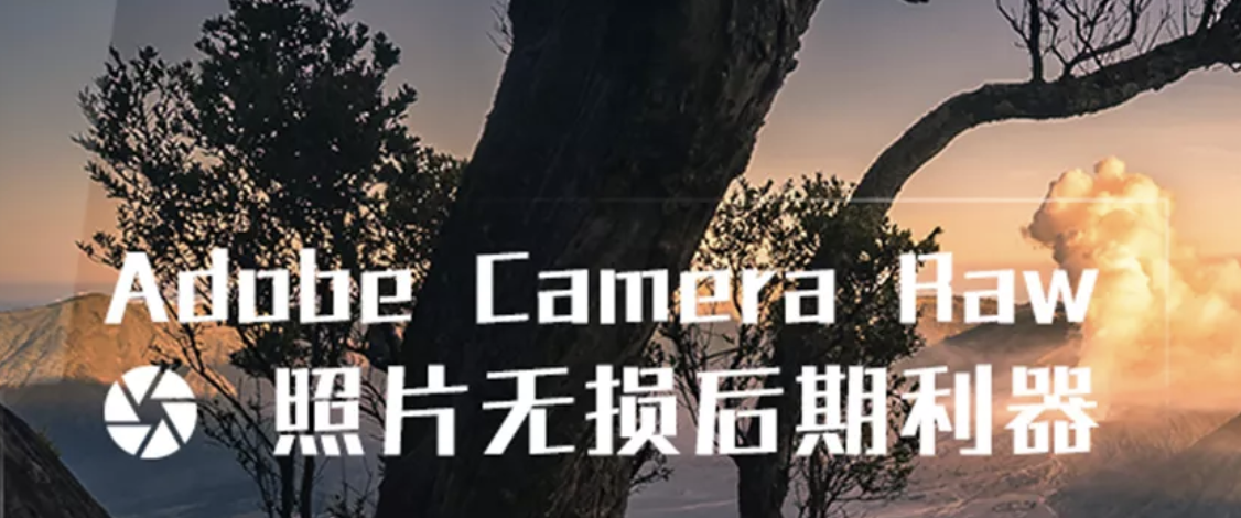 Adobe Camera Raw：照片无损后期利器 | 完结