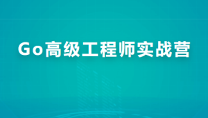 Go高级工程师实战营 | 完结