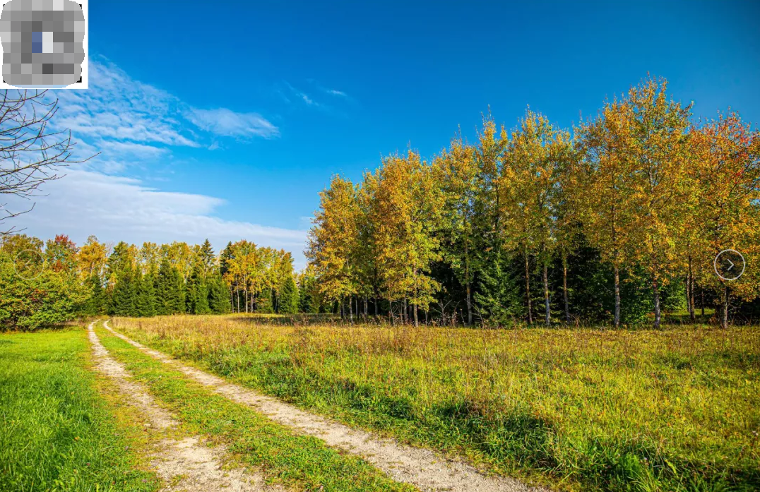 用手机拍出专业级照片 | 完结