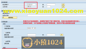 VBA驱动SAP GUI完成界面元素值初始化