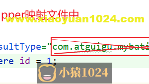 Mybatis核心配置文件中的标签介绍