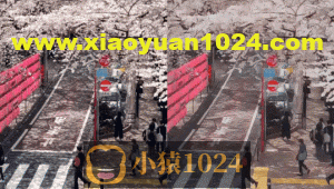 如何用Python将普通视频变成动漫视频