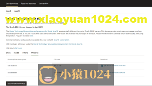 JAVA开发工具的具体安装与使用