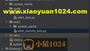 pytest分布式执行插件 pytest-xdist 的高级用法