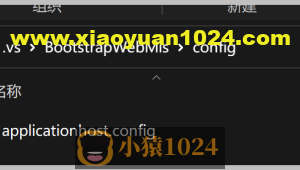 开发H5程序或者小程序的时候，后端Web API项目在IISExpress调试中使用IP地址，便于开发调试
