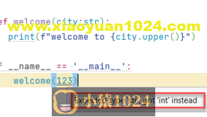 Python基础-24 类型标注