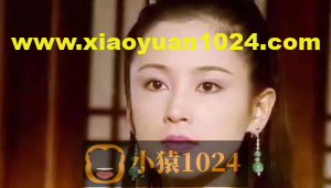 这份工具清单，令Python 提速N倍，简直太好用了