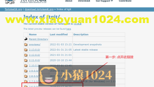 TortoiseGit的下载以及配置