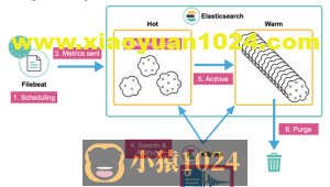 Elasticsearch 入门实战(6)–索引生命周期管理