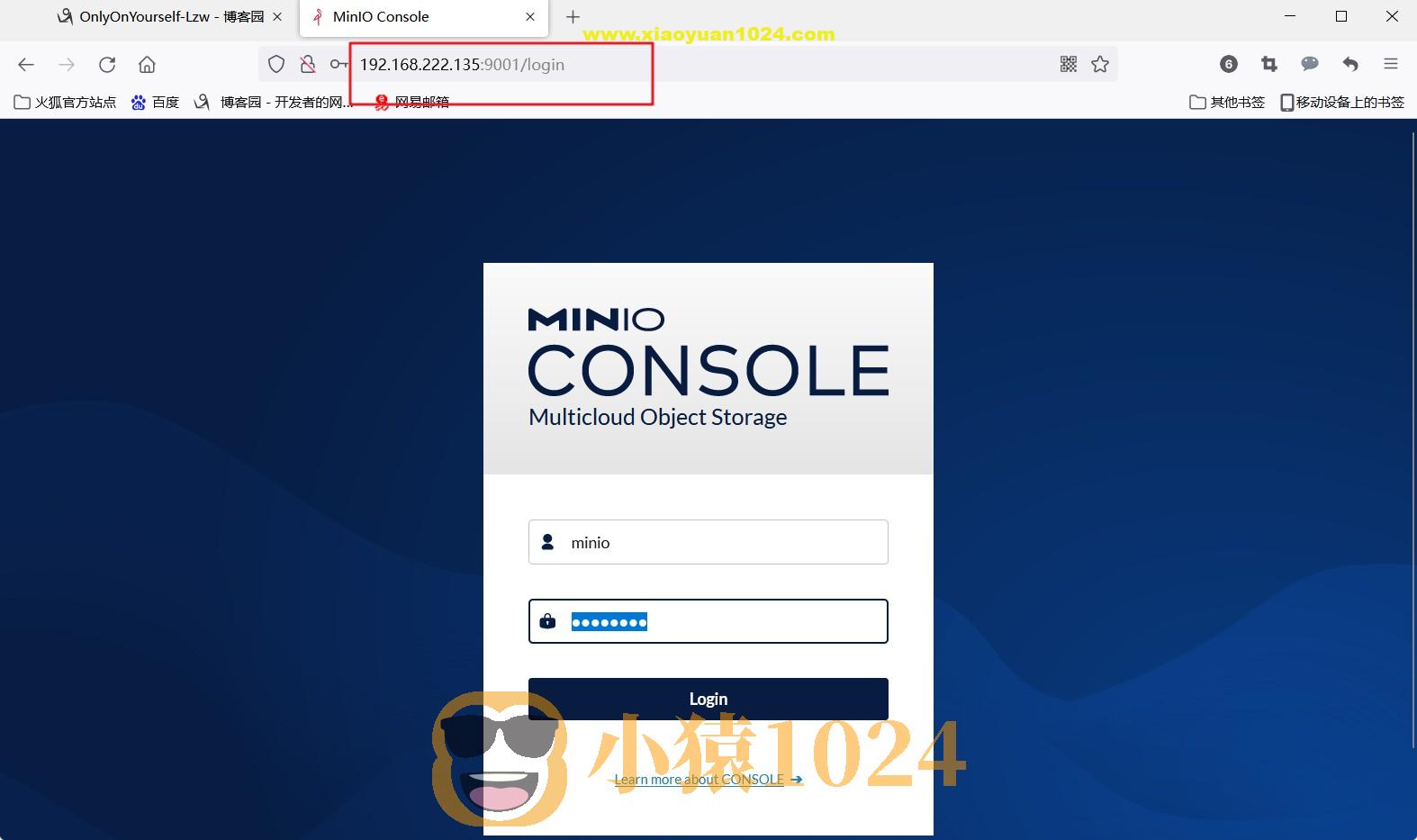 09-MinIO对象存储服务概述和入门