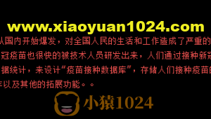 毕业设计经典案例：Python实现疫苗接种数据库管理