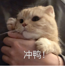 python带你采集各种表情包，做群里最靓的崽~