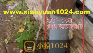 比冒泡算法还简单的排序算法：看起来满是bug的程序，居然是对的