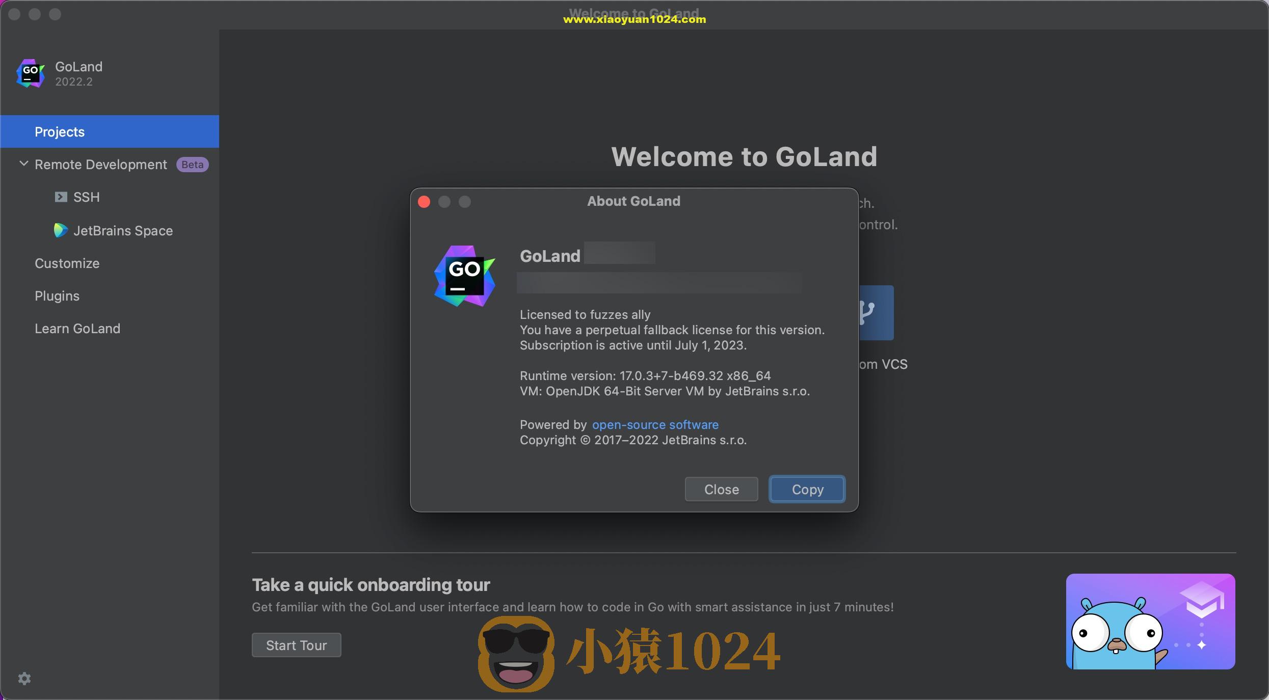 JetBrains GoLand 2022 (GO语言集成开发工具环境)