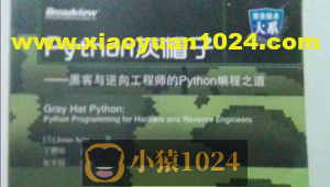 Python灰帽子网络安全实践