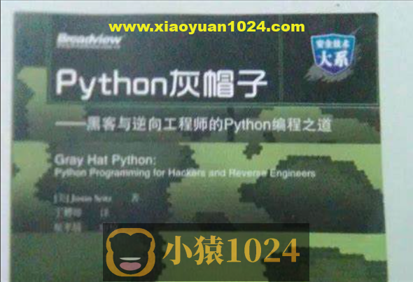 Python灰帽子网络安全实践