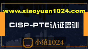 CISSP认证视频+CISP认证视频+ CISP-PTE认证视频+资料大全