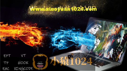 Windows内核安全VIP