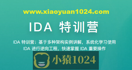 【看雪】IDA特训营