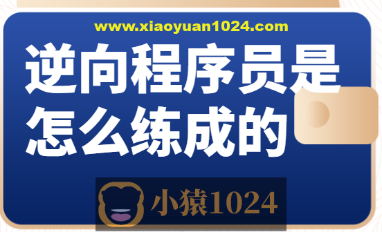 逆向程序员是怎么练成的