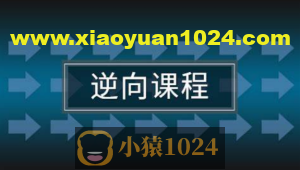 任鸟飞2021游戏安全逆向在线班课程
