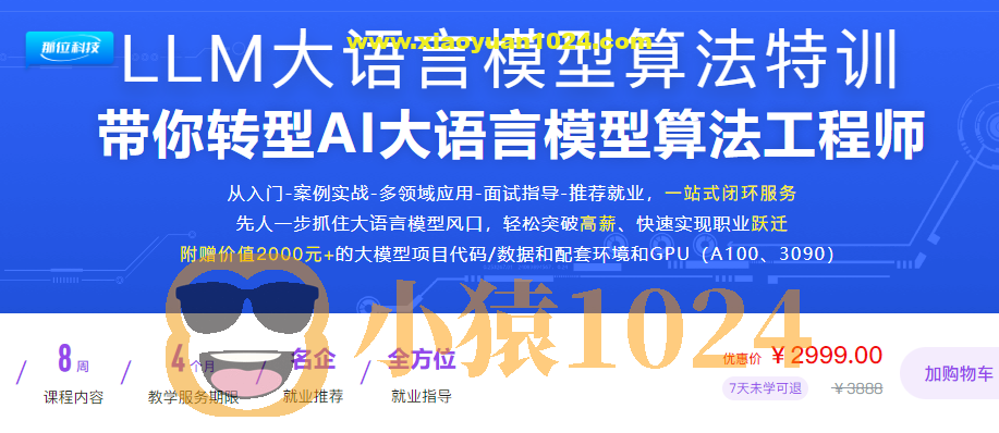 LLM大语言模型算法特训 带你转型AI大语言模型算法工程师