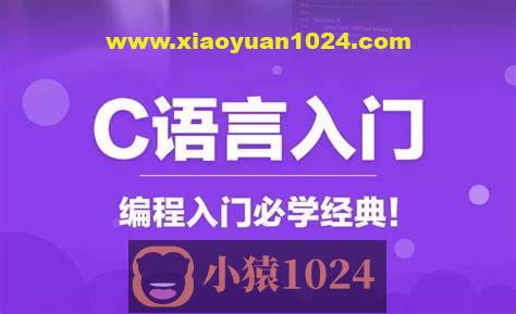 爱编程的大丙 C语言视频教程(非常详尽)