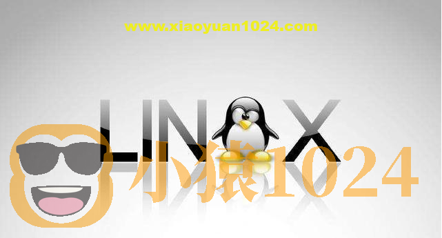 Linux基础命令讲解