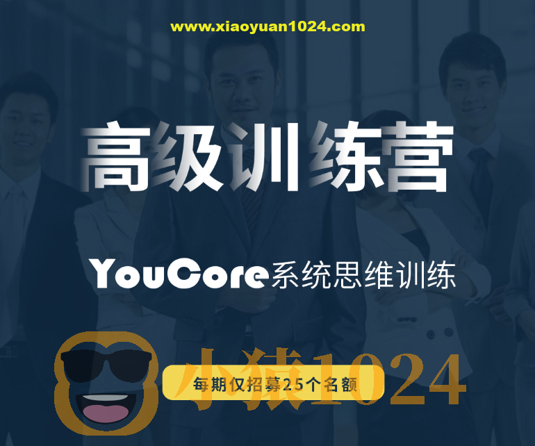 YouCore系统思维高级训练