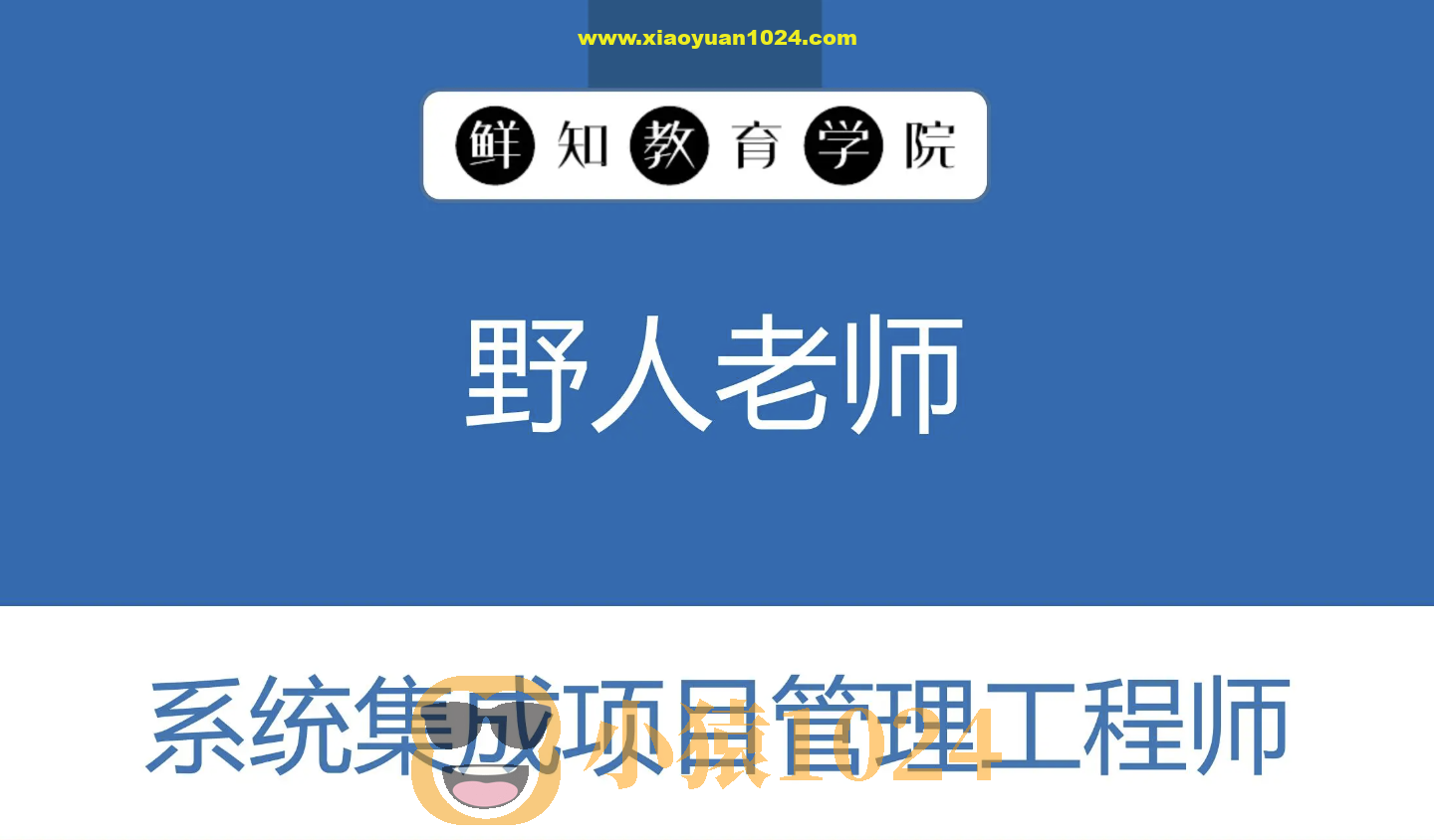 野人老师.202311.软考中级系统集成项目管理工程师