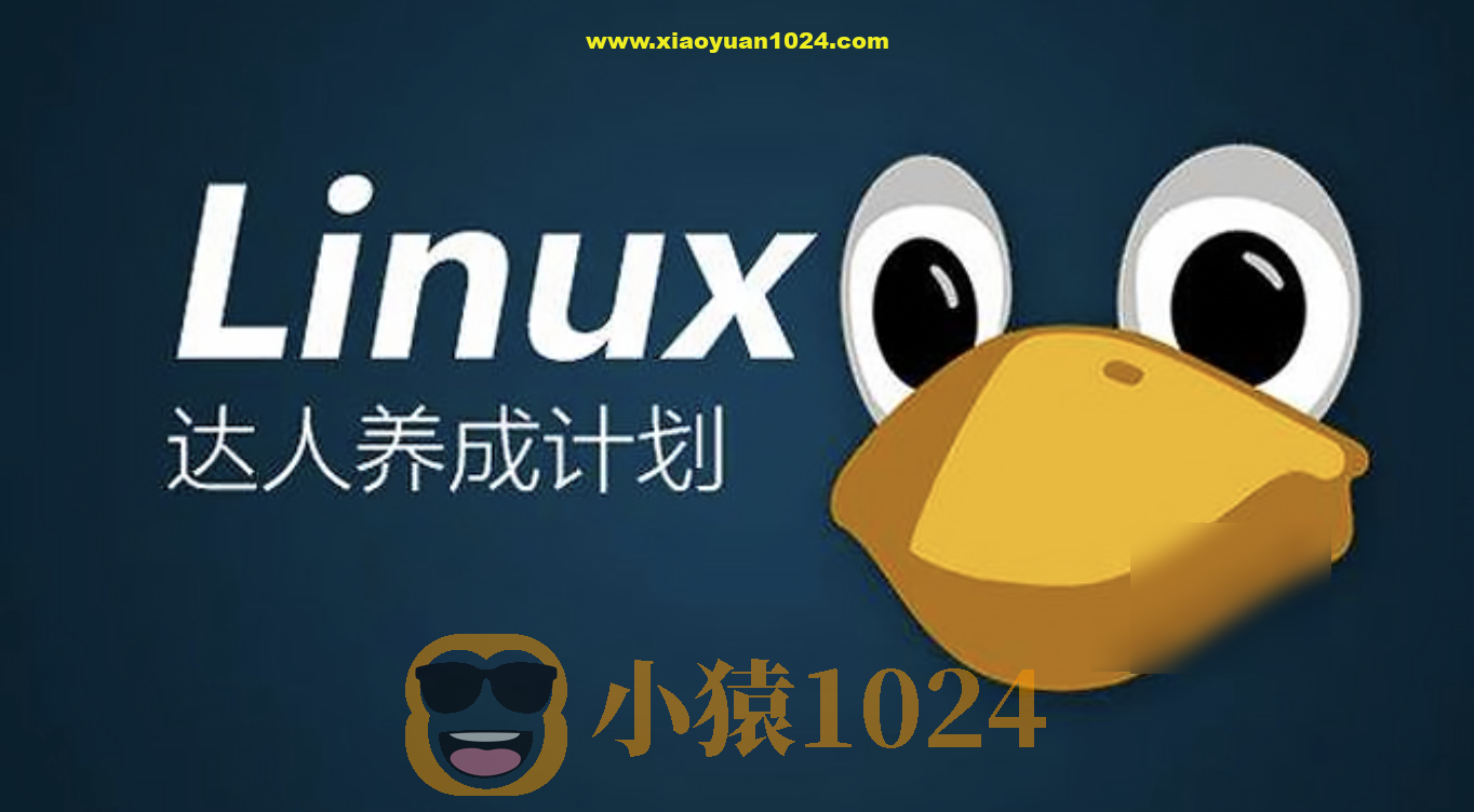 老男孩脱产74期