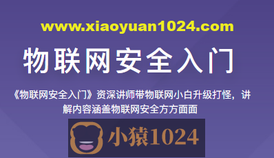 看雪 物联网安全入门