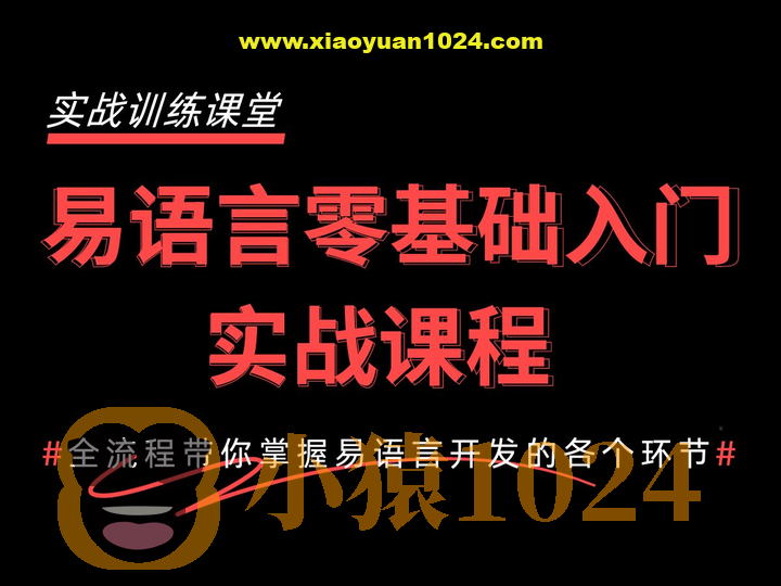 2024最新易语言基础快速入门到精通教程：1天入门快速开发自己的软件