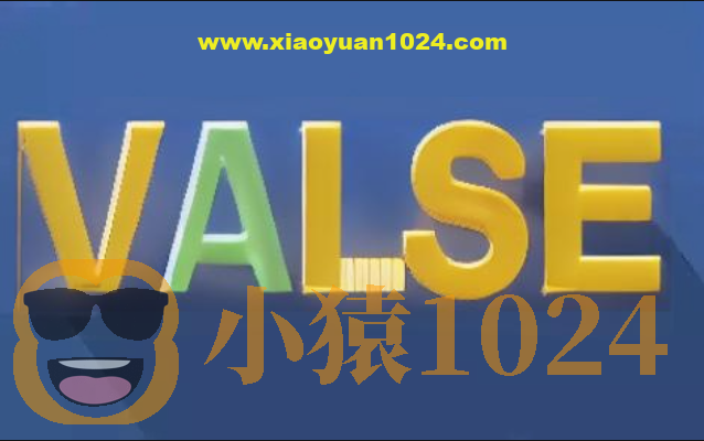 VALSE PPT分享