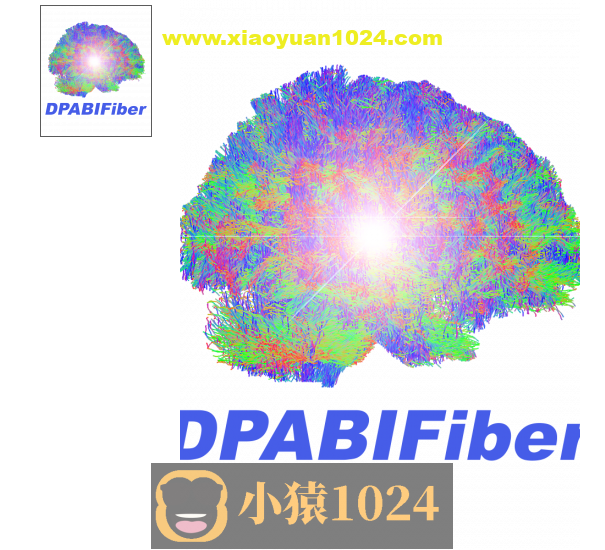 DPABIFIBER脑结构纤维与脑功能融合高阶课程