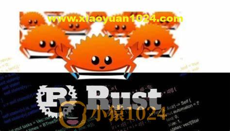 Rust语言 基础入门到应用