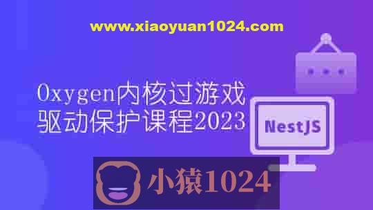 Oxygen内核过游戏驱动保护课程2023