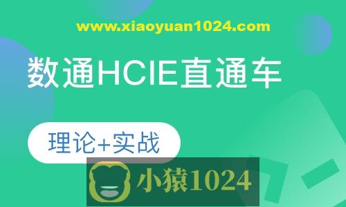 HCIE-阮维数通直通车2024