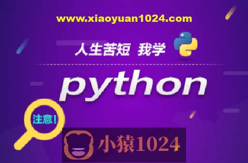 王道Python工程师2024长期班10期|价值过万