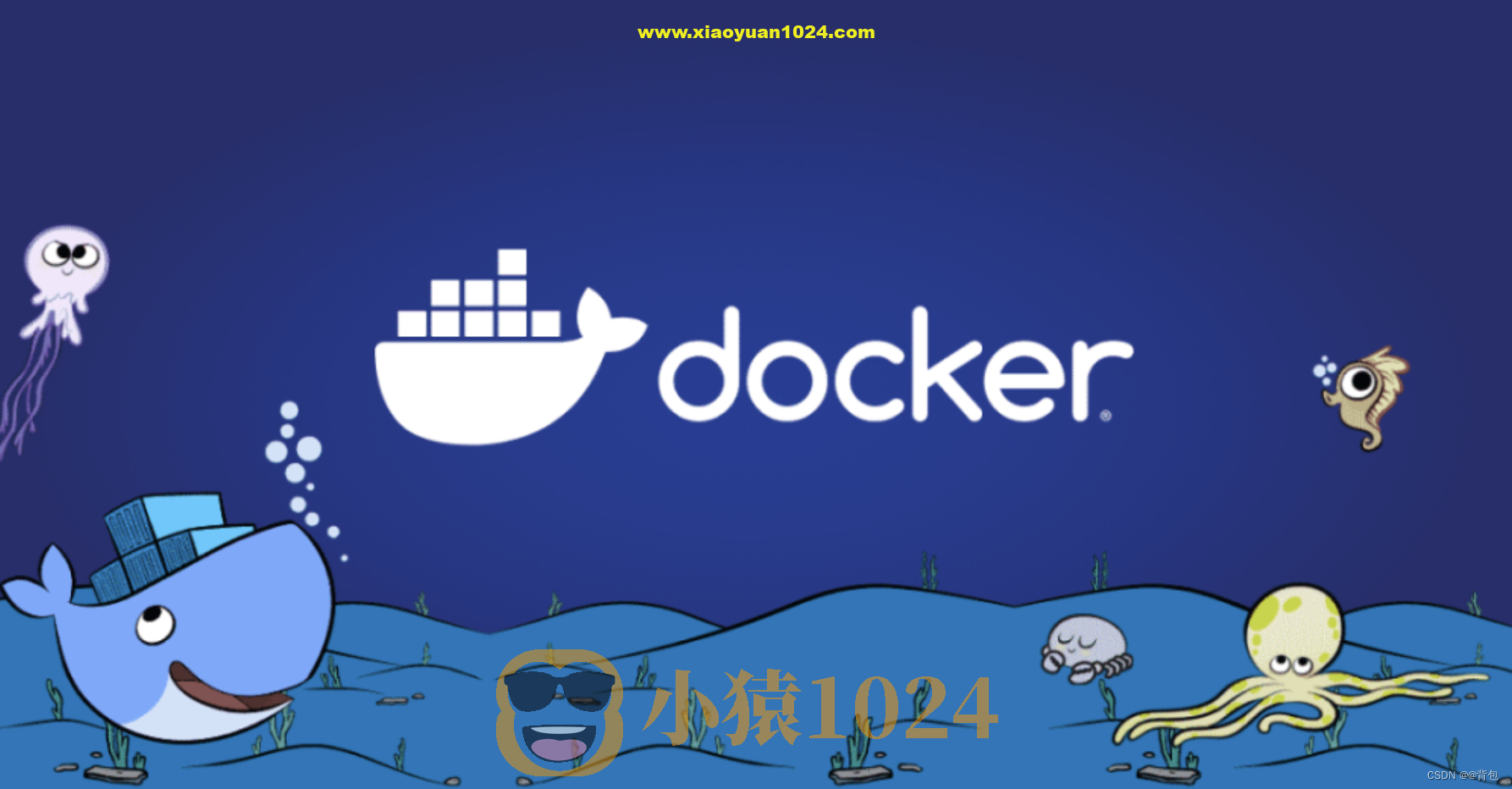 Docker从零走向实战 完整资料