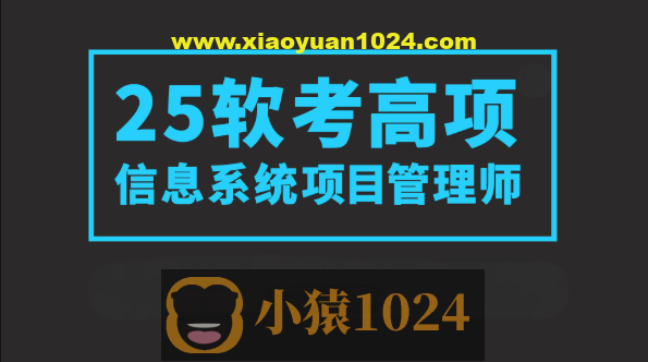 2025野人老师软考高项