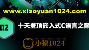 十天登顶嵌入式C语言之巅(高手C)