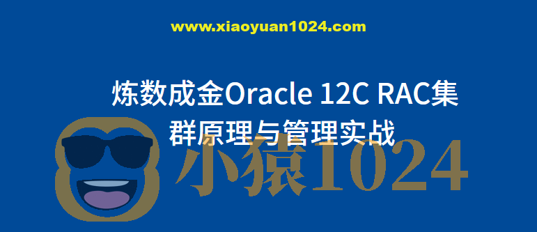 炼数成金Oracle 12C RAC集群原理与管理实战
