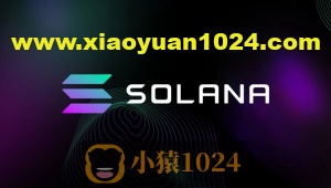 Solana区块链开发Rust + JavaScript