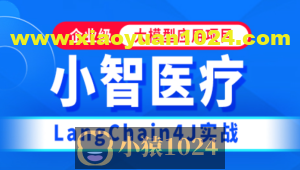 硅谷小智(医疗版)